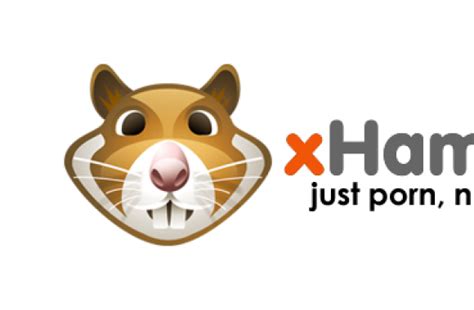 vhamster|xHamster